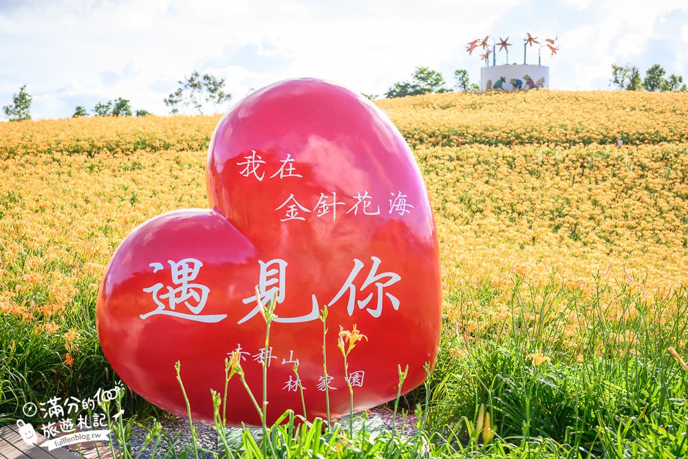 花蓮【赤科山林家園休閒農場】赤柯山免門票金針花海.超遼闊金針花田,地景藝術豐富好拍!