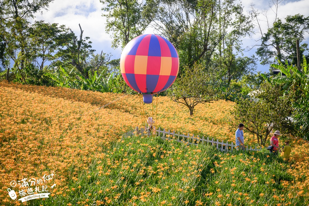 花蓮【赤科山林家園休閒農場】赤柯山免門票金針花海.超遼闊金針花田,地景藝術豐富好拍!