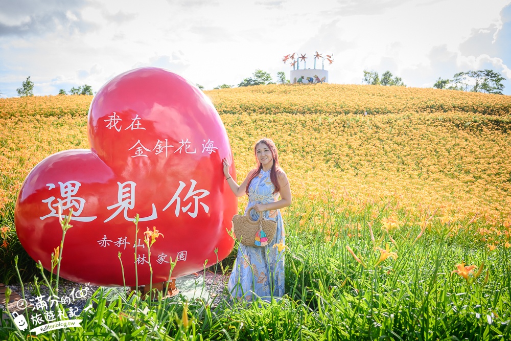 花蓮【赤科山林家園休閒農場】赤柯山免門票金針花海.超遼闊金針花田,地景藝術豐富好拍!