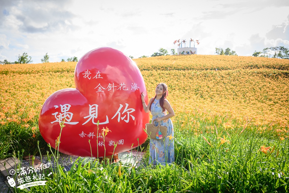 花蓮【赤科山林家園休閒農場】赤柯山免門票金針花海.超遼闊金針花田,地景藝術豐富好拍!