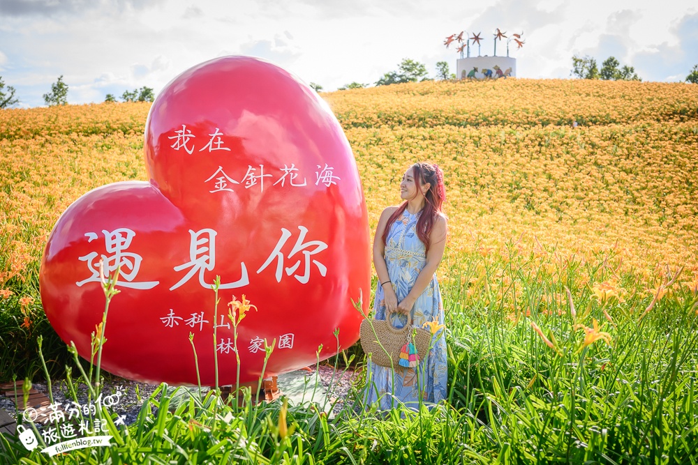花蓮【赤科山林家園休閒農場】赤柯山免門票金針花海.超遼闊金針花田,地景藝術豐富好拍!