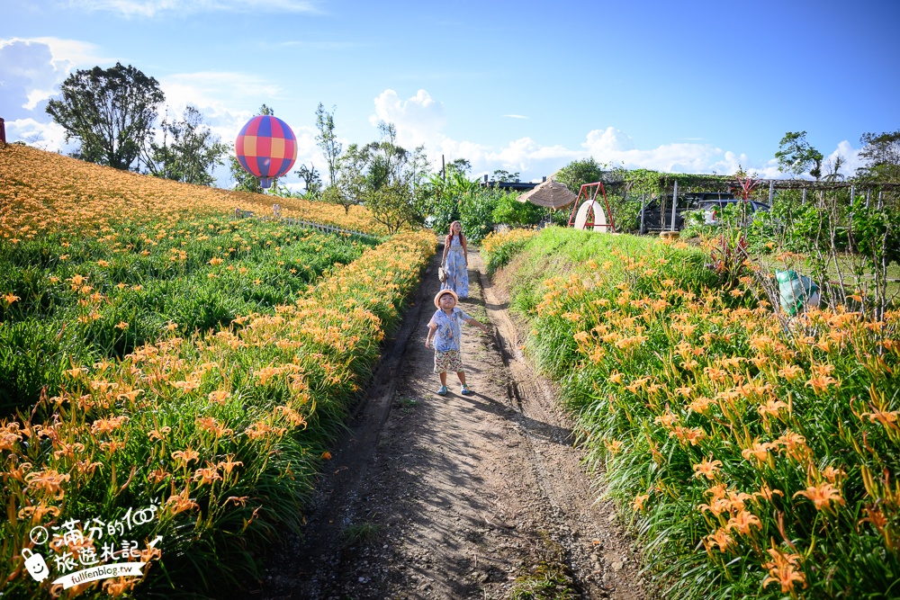 花蓮【赤科山林家園休閒農場】赤柯山免門票金針花海.超遼闊金針花田,地景藝術豐富好拍!