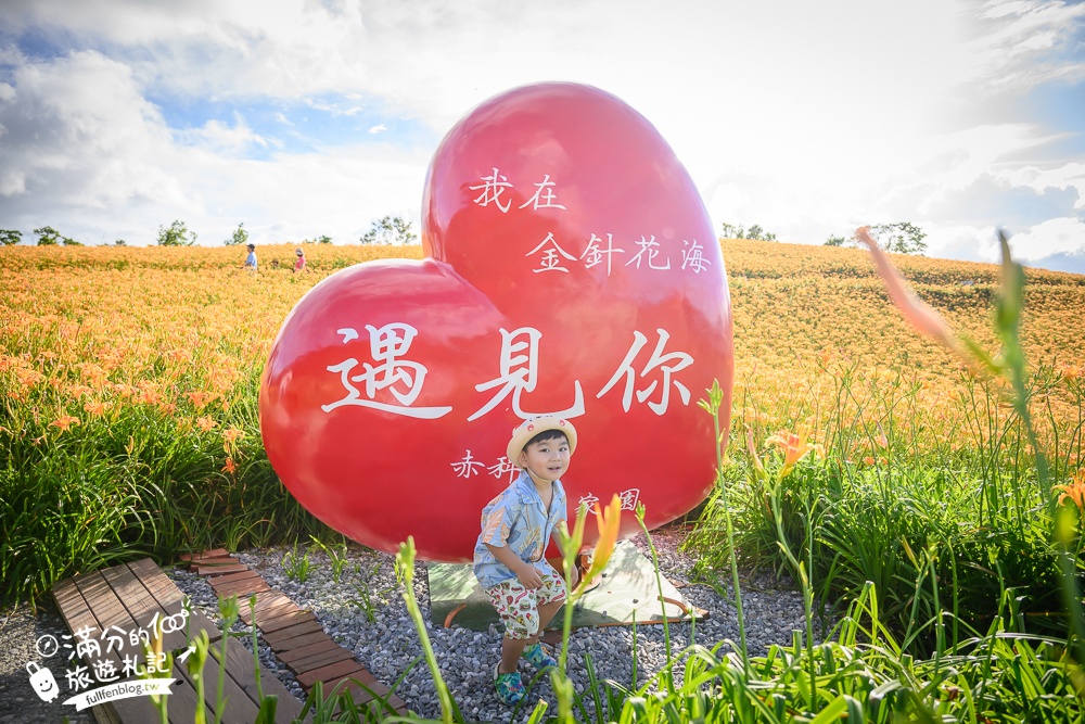 花蓮【赤科山林家園休閒農場】赤柯山免門票金針花海.超遼闊金針花田,地景藝術豐富好拍!