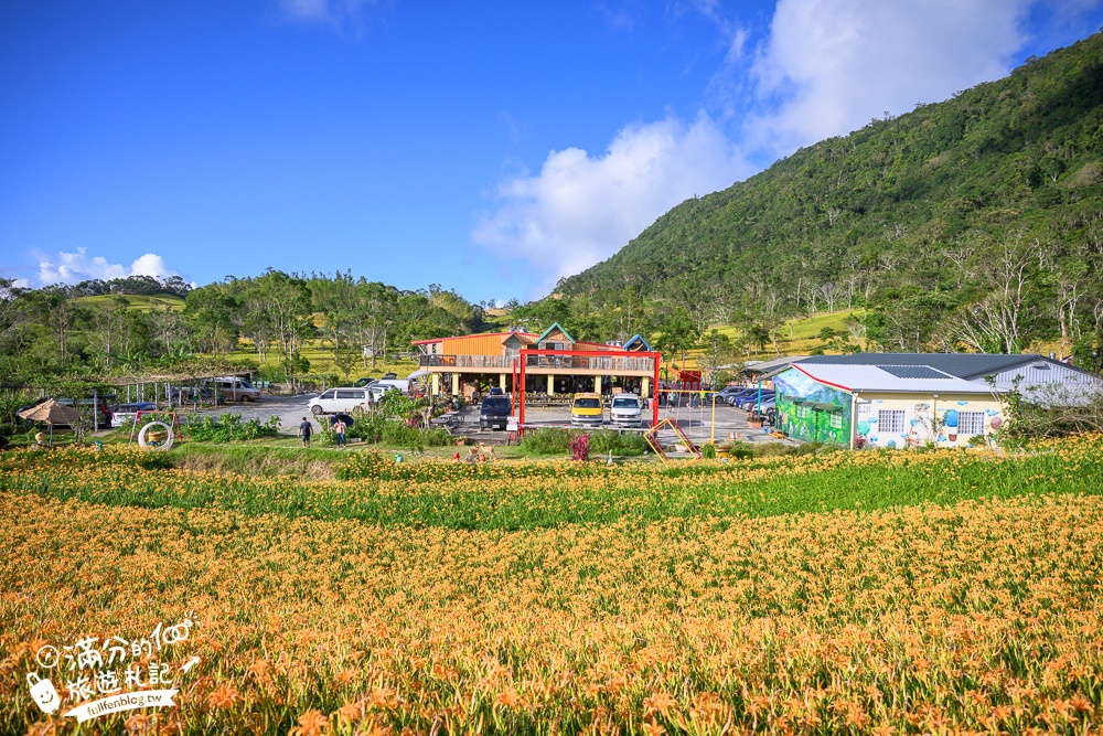 花蓮【赤科山林家園休閒農場】赤柯山免門票金針花海.超遼闊金針花田,地景藝術豐富好拍!