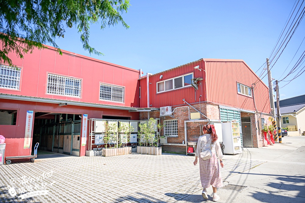 台中騎馬體驗【先騰馬業神岡分部】綠林包圍療癒的馬場基地,親子同行享受騎馬的樂趣!