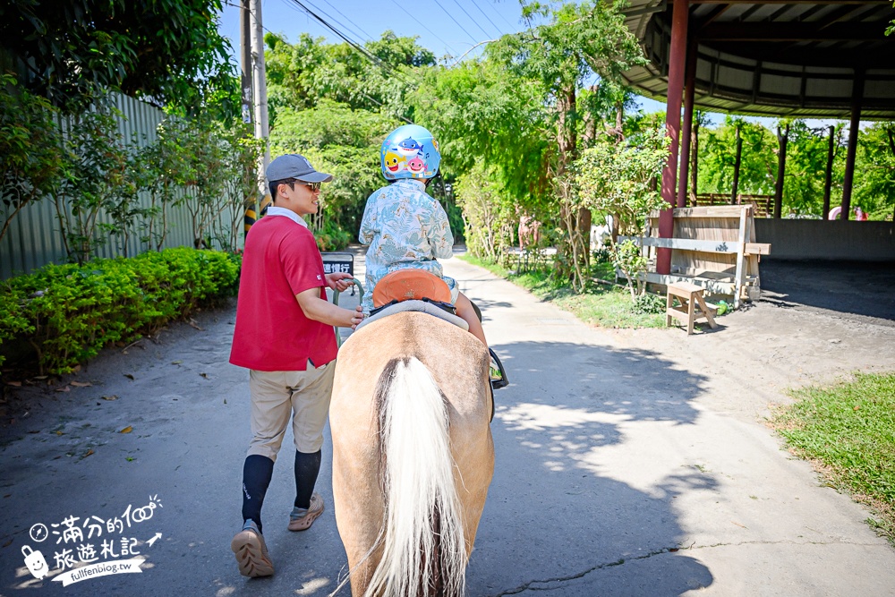 台中騎馬體驗【先騰馬業神岡分部】綠林包圍療癒的馬場基地,親子同行享受騎馬的樂趣!