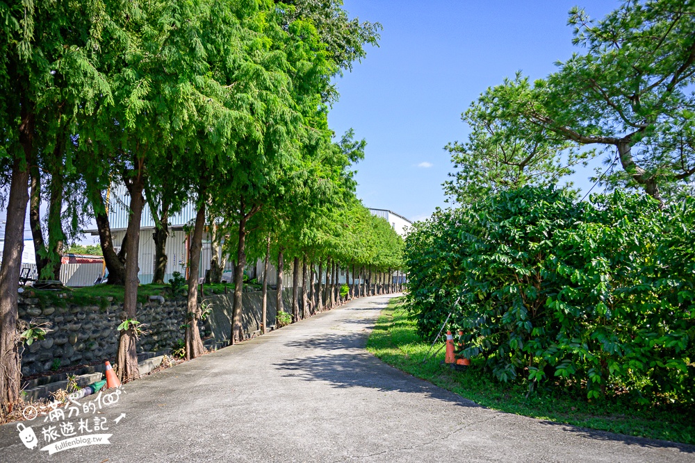 台中騎馬體驗【先騰馬業神岡分部】綠林包圍療癒的馬場基地,親子同行享受騎馬的樂趣!