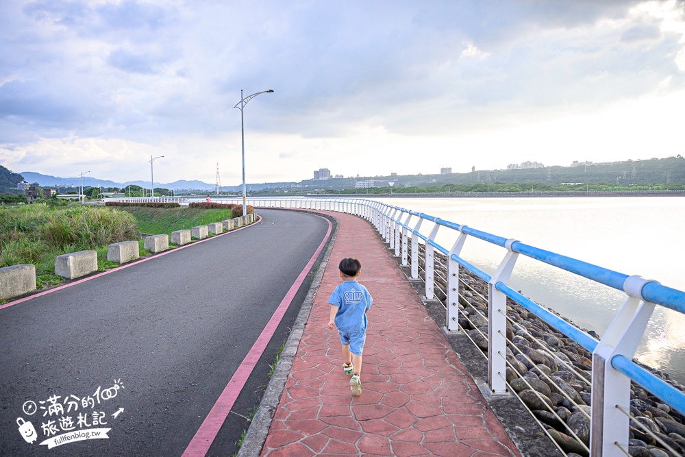 【2025桃園大溪韭菜花季】桃園大溪浪漫9月雪,季節限定的夢幻白雪花海!