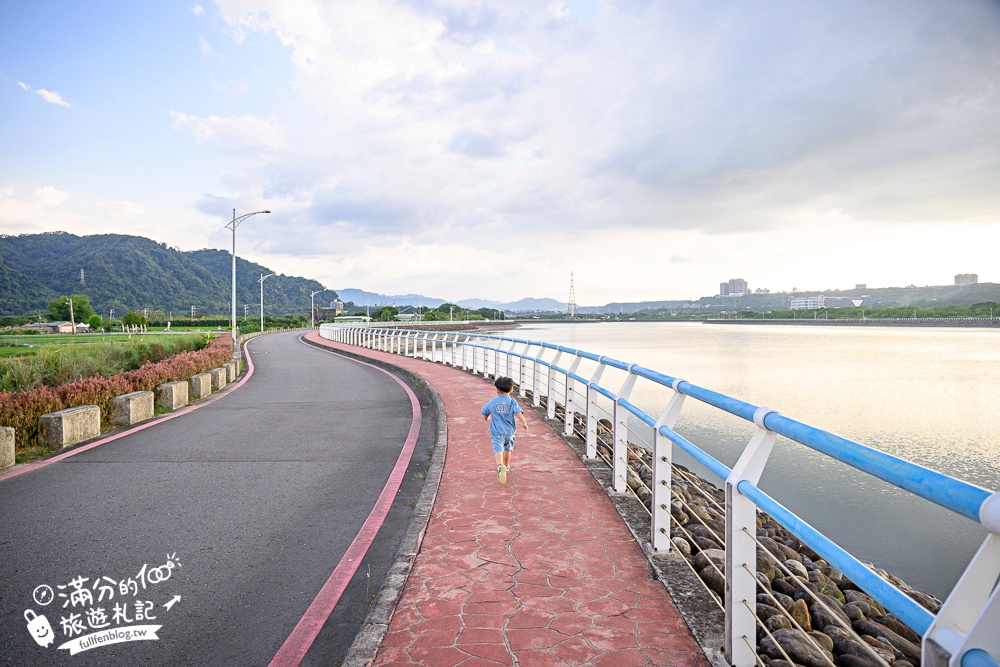 【2025桃園大溪韭菜花季】桃園大溪浪漫9月雪,季節限定的夢幻白雪花海!