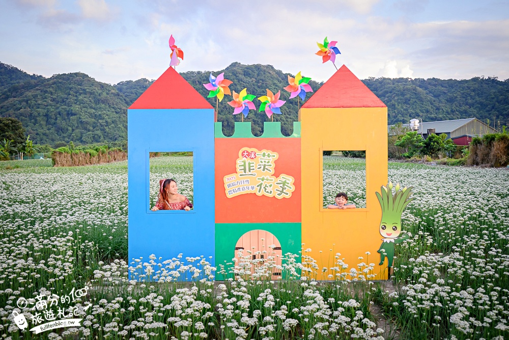 【2025桃園大溪韭菜花季】桃園大溪浪漫9月雪,季節限定的夢幻白雪花海!