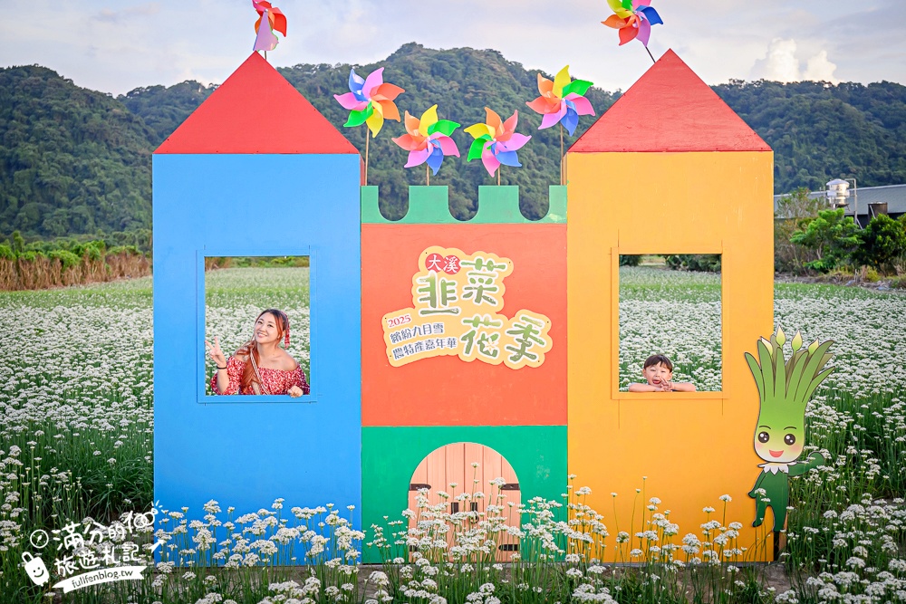 【2025桃園大溪韭菜花季】桃園大溪浪漫9月雪,季節限定的夢幻白雪花海!