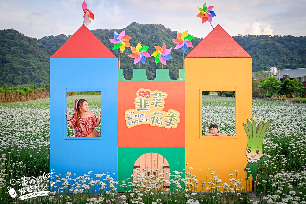 【2025桃園大溪韭菜花季】桃園大溪浪漫9月雪,季節限定的夢幻白雪花海!
