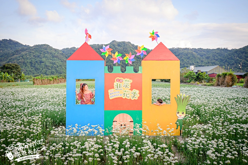 【2025桃園大溪韭菜花季】桃園大溪浪漫9月雪,季節限定的夢幻白雪花海!