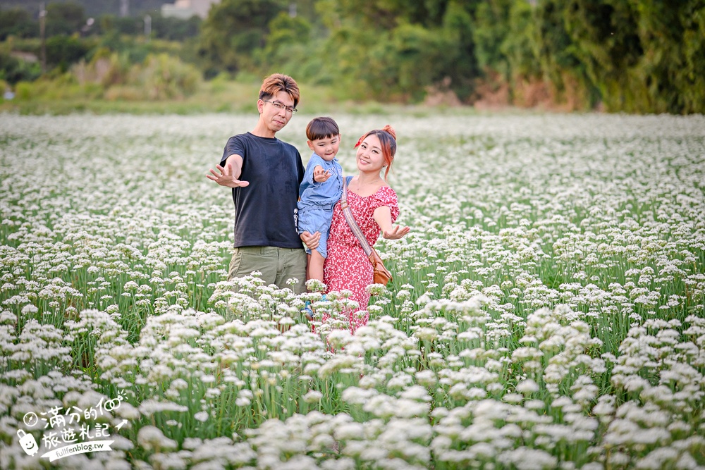 【2025桃園大溪韭菜花季】桃園大溪浪漫9月雪,季節限定的夢幻白雪花海!