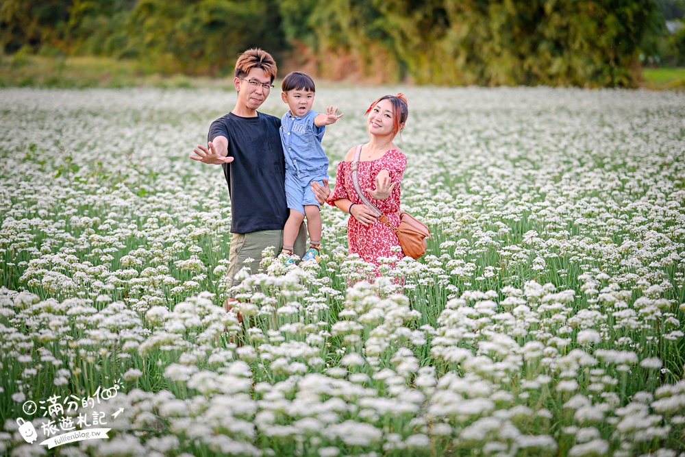 【2025桃園大溪韭菜花季】桃園大溪浪漫9月雪,季節限定的夢幻白雪花海!