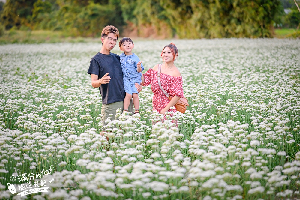【2025桃園大溪韭菜花季】桃園大溪浪漫9月雪,季節限定的夢幻白雪花海!