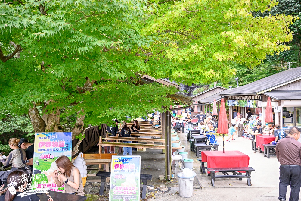 福岡景點【糸島白絲瀑布】看壯觀涓絲瀑布.吃流水麵.釣魚體驗.吸收滿滿芬多精!
