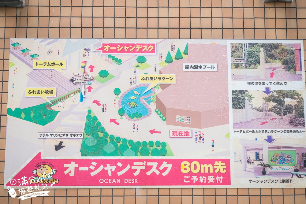 【沖繩本部元氣村】沖繩與海豚近距離互動體驗.預約方式＆詳細體驗感受~Motobu Genki Village!