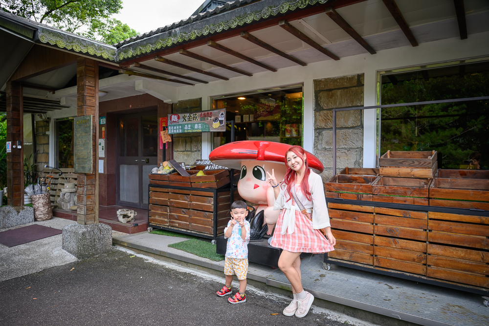 【平溪十分深坑老街綠色遊程.低碳小旅行】搭台灣好行795木柵平溪線一日精彩行程醬玩～超值旅程吃喝玩樂一次滿足!