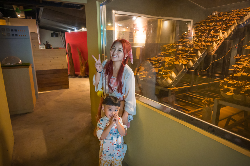 【平溪十分深坑老街綠色遊程.低碳小旅行】搭台灣好行795木柵平溪線一日精彩行程醬玩～超值旅程吃喝玩樂一次滿足!