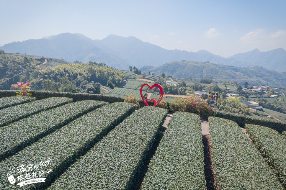 嘉義景點【海鼠山1314觀景台】免門票全台最美抹茶田.必拍愛情塔,免步行~360度茶田風光盡收眼底!