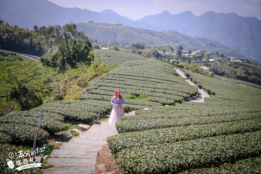 嘉義景點【海鼠山1314觀景台】免門票全台最美抹茶田.必拍愛情塔,免步行~360度茶田風光盡收眼底!