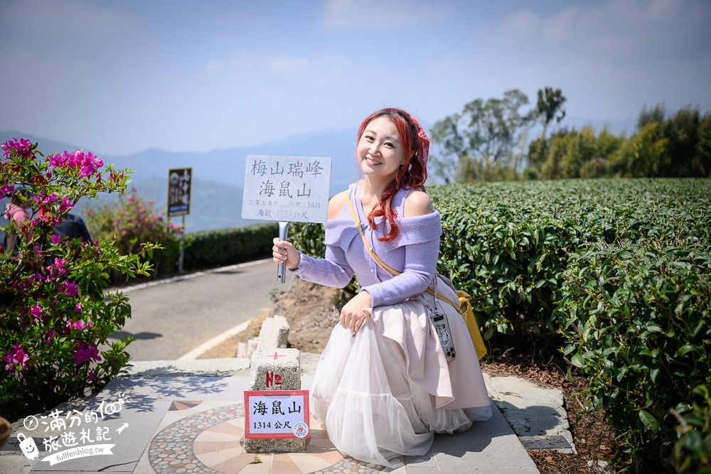 嘉義景點【海鼠山1314觀景台】免門票全台最美抹茶田.必拍愛情塔,免步行~360度茶田風光盡收眼底!