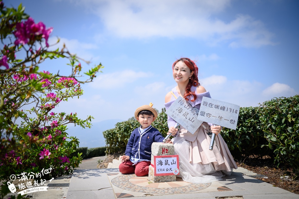 嘉義景點【海鼠山1314觀景台】免門票全台最美抹茶田.必拍愛情塔,免步行~360度茶田風光盡收眼底!