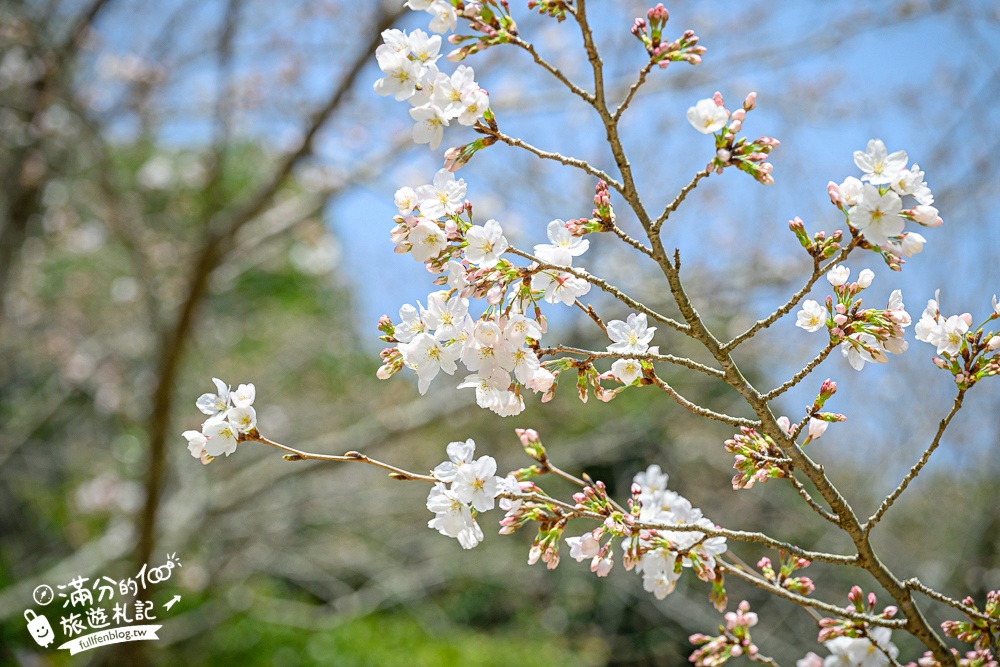福岡景點【糸島景點一日遊】TOP6糸島順遊景點推薦.白絲瀑布.吃流水麵.海邊樹屋.一蘭拉麵博物館,福岡海線精彩玩!