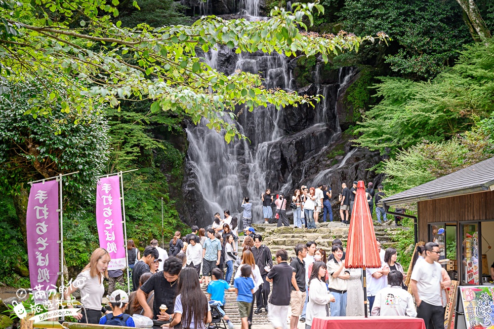 福岡景點【糸島景點一日遊】TOP6糸島順遊景點推薦.白絲瀑布.吃流水麵.海邊樹屋.一蘭拉麵博物館,福岡海線精彩玩!