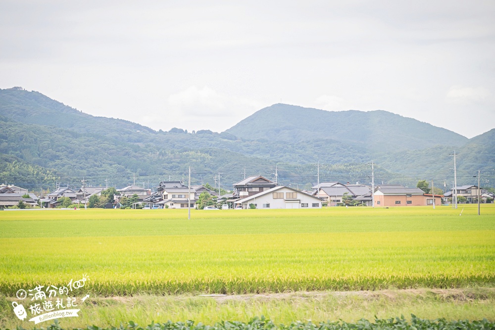 九州特色列車【JR九州36+3豪華觀光列車購票＆開箱搭乘攻略】燙金黑色車廂超帥氣,可以用餐飲酒.玩手作和復古村落觀光散策!