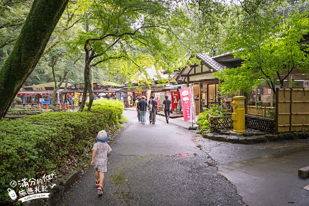 【高千穗峽划船看瀑布攻略】九州自由行必體驗行程,真名井瀑布周邊散步攻略.吃瀑布冰.流水麵好享受! 【高千穗峽划船看瀑布攻略】九州自由行必體驗行程,真名井瀑布周邊散步攻略.吃瀑布冰.流水麵好享受!