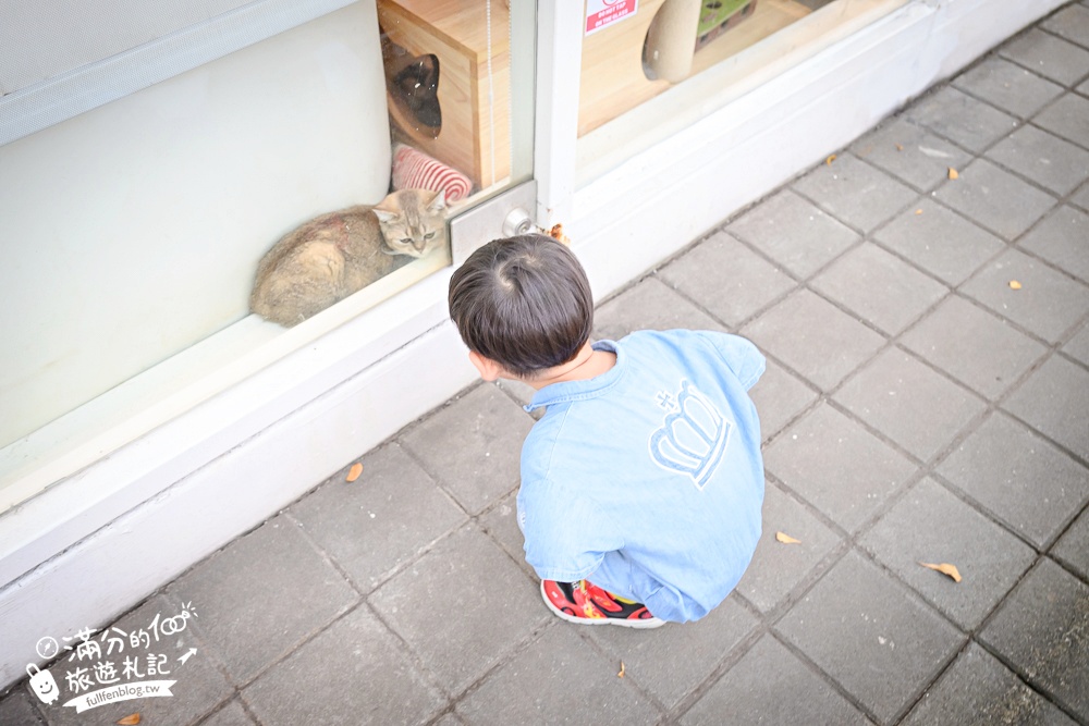 屏東新景點【茵茵喵喵貓咪咖啡館】座落枋寮彩虹藝鐵小鎮,與貓咪互動玩樂,還能玩拍繽紛彩色聚落! 屏東新景點【茵茵喵喵貓咪咖啡館】座落枋寮彩虹藝鐵小鎮,與貓咪互動玩樂,還能玩拍繽紛彩色聚落!
