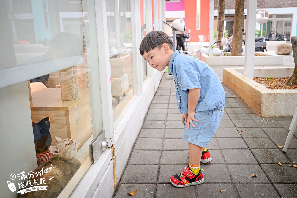 屏東新景點【茵茵喵喵貓咪咖啡館】座落枋寮彩虹藝鐵小鎮,與貓咪互動玩樂,還能玩拍繽紛彩色聚落! 屏東新景點【茵茵喵喵貓咪咖啡館】座落枋寮彩虹藝鐵小鎮,與貓咪互動玩樂,還能玩拍繽紛彩色聚落!