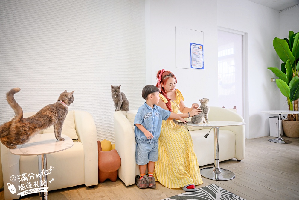 屏東新景點【茵茵喵喵貓咪咖啡館】座落枋寮彩虹藝鐵小鎮,與貓咪互動玩樂,還能玩拍繽紛彩色聚落! 屏東新景點【茵茵喵喵貓咪咖啡館】座落枋寮彩虹藝鐵小鎮,與貓咪互動玩樂,還能玩拍繽紛彩色聚落!