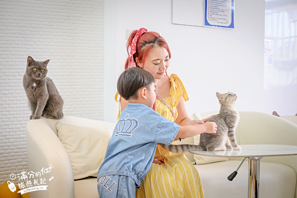 屏東新景點【茵茵喵喵貓咪咖啡館】座落枋寮彩虹藝鐵小鎮,與貓咪互動玩樂,還能玩拍繽紛彩色聚落! 屏東新景點【茵茵喵喵貓咪咖啡館】座落枋寮彩虹藝鐵小鎮,與貓咪互動玩樂,還能玩拍繽紛彩色聚落!