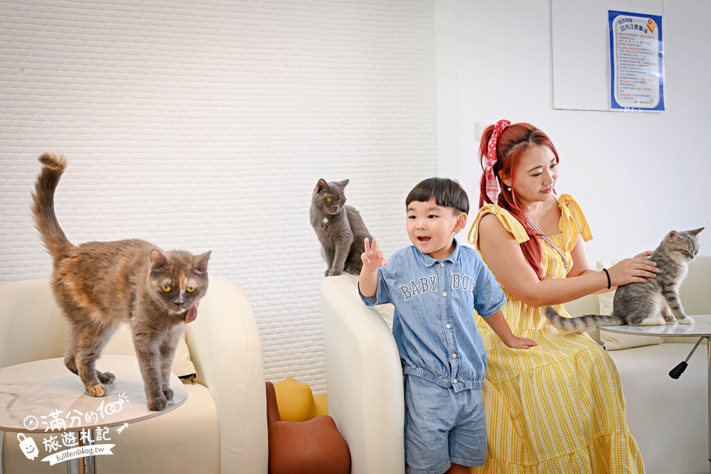 屏東新景點【茵茵喵喵貓咪咖啡館】座落枋寮彩虹藝鐵小鎮,與貓咪互動玩樂,還能玩拍繽紛彩色聚落! 屏東新景點【茵茵喵喵貓咪咖啡館】座落枋寮彩虹藝鐵小鎮,與貓咪互動玩樂,還能玩拍繽紛彩色聚落!