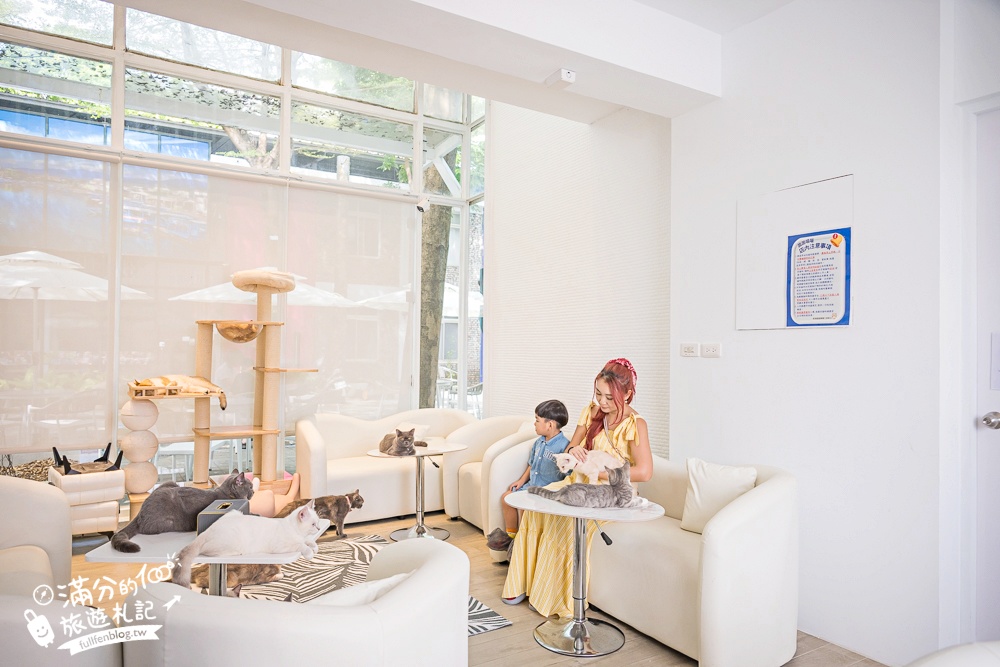 屏東新景點【茵茵喵喵貓咪咖啡館】座落枋寮彩虹藝鐵小鎮,與貓咪互動玩樂,還能玩拍繽紛彩色聚落! 屏東新景點【茵茵喵喵貓咪咖啡館】座落枋寮彩虹藝鐵小鎮,與貓咪互動玩樂,還能玩拍繽紛彩色聚落!