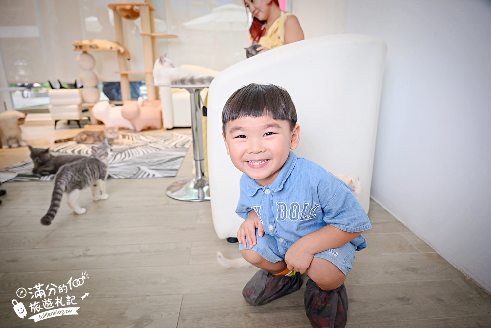 屏東新景點【茵茵喵喵貓咪咖啡館】座落枋寮彩虹藝鐵小鎮,與貓咪互動玩樂,還能玩拍繽紛彩色聚落! 屏東新景點【茵茵喵喵貓咪咖啡館】座落枋寮彩虹藝鐵小鎮,與貓咪互動玩樂,還能玩拍繽紛彩色聚落!