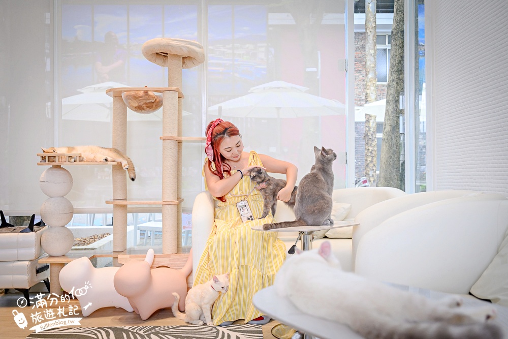 屏東新景點【茵茵喵喵貓咪咖啡館】座落枋寮彩虹藝鐵小鎮,與貓咪互動玩樂,還能玩拍繽紛彩色聚落! 屏東新景點【茵茵喵喵貓咪咖啡館】座落枋寮彩虹藝鐵小鎮,與貓咪互動玩樂,還能玩拍繽紛彩色聚落!