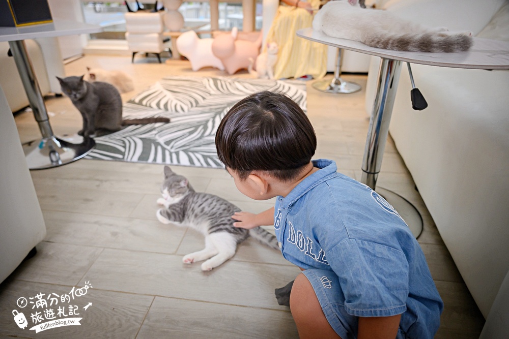 屏東新景點【茵茵喵喵貓咪咖啡館】座落枋寮彩虹藝鐵小鎮,與貓咪互動玩樂,還能玩拍繽紛彩色聚落! 屏東新景點【茵茵喵喵貓咪咖啡館】座落枋寮彩虹藝鐵小鎮,與貓咪互動玩樂,還能玩拍繽紛彩色聚落!