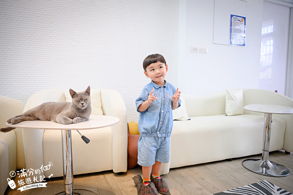 屏東新景點【茵茵喵喵貓咪咖啡館】座落枋寮彩虹藝鐵小鎮,與貓咪互動玩樂,還能玩拍繽紛彩色聚落! 屏東新景點【茵茵喵喵貓咪咖啡館】座落枋寮彩虹藝鐵小鎮,與貓咪互動玩樂,還能玩拍繽紛彩色聚落!