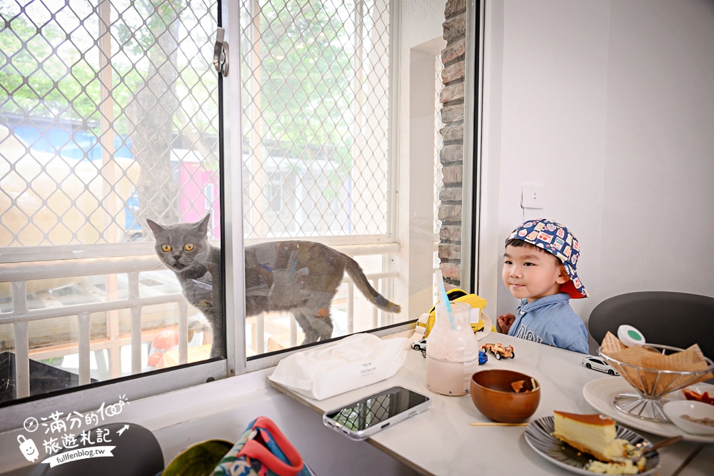 屏東新景點【茵茵喵喵貓咪咖啡館】座落枋寮彩虹藝鐵小鎮,與貓咪互動玩樂,還能玩拍繽紛彩色聚落! 屏東新景點【茵茵喵喵貓咪咖啡館】座落枋寮彩虹藝鐵小鎮,與貓咪互動玩樂,還能玩拍繽紛彩色聚落!