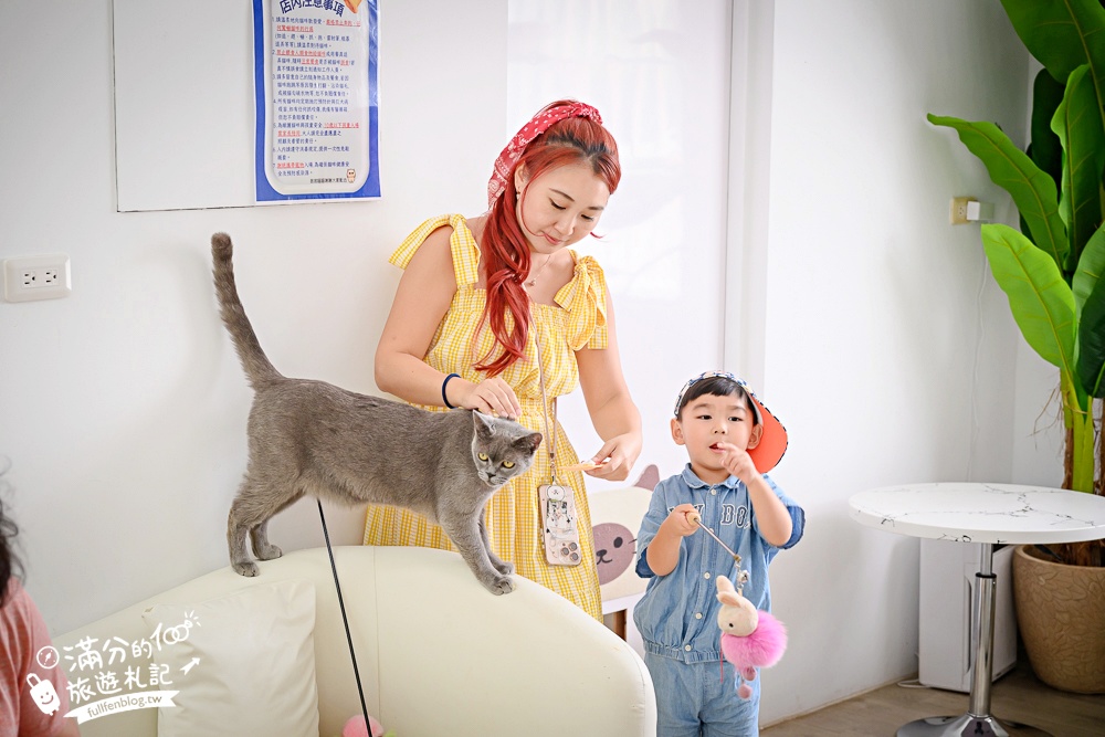 屏東新景點【茵茵喵喵貓咪咖啡館】座落枋寮彩虹藝鐵小鎮,與貓咪互動玩樂,還能玩拍繽紛彩色聚落! 屏東新景點【茵茵喵喵貓咪咖啡館】座落枋寮彩虹藝鐵小鎮,與貓咪互動玩樂,還能玩拍繽紛彩色聚落!