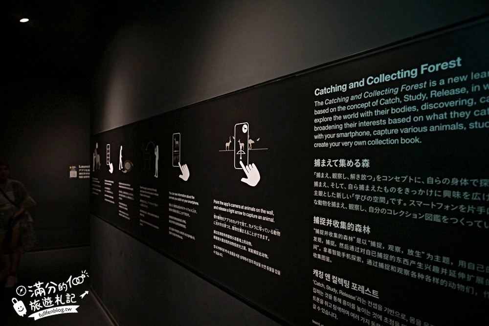 九州【福岡teamLab森林玩樂攻略】福岡親子景點推薦.充滿驚喜大型美術館.魅力四射的花花世界!