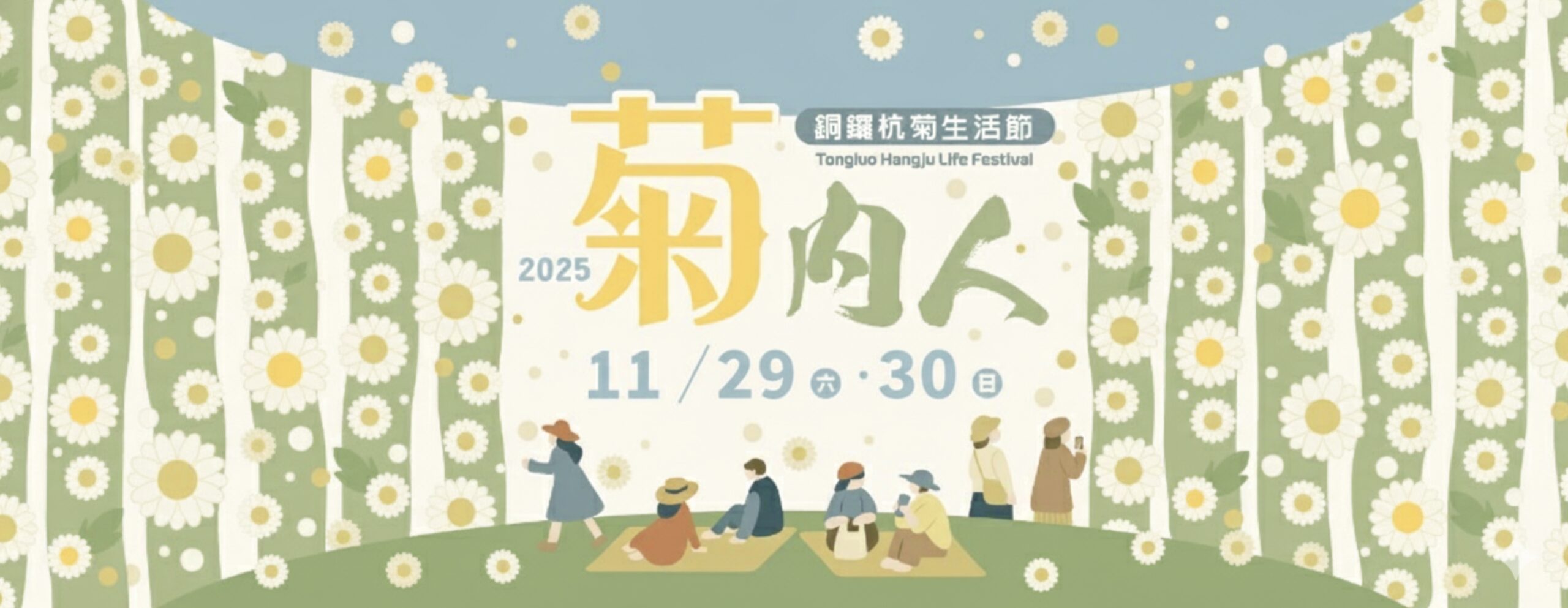 【2025銅鑼杭菊生活節】苗栗下起11月雪.白雪花海＆金色花毯雙色齊放.肥滾小圓花數大之美好壯觀!