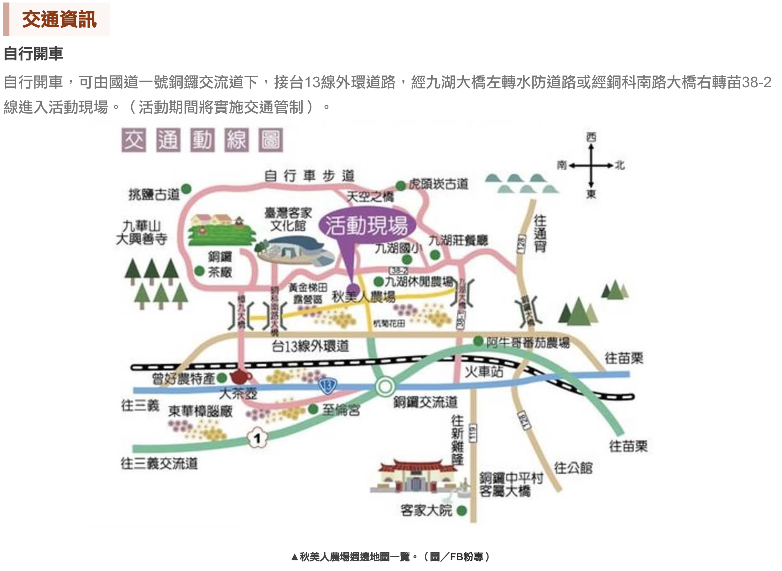 【2025銅鑼杭菊生活節】苗栗下起11月雪.白雪花海＆金色花毯雙色齊放.肥滾小圓花數大之美好壯觀!