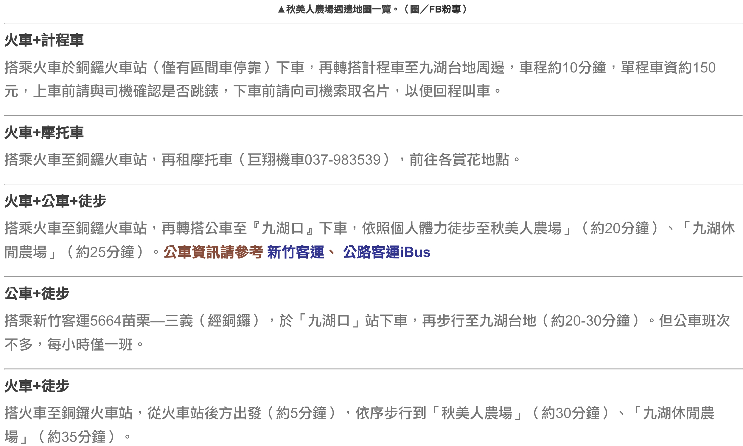 【2025銅鑼杭菊生活節】苗栗下起11月雪.白雪花海＆金色花毯雙色齊放.肥滾小圓花數大之美好壯觀!