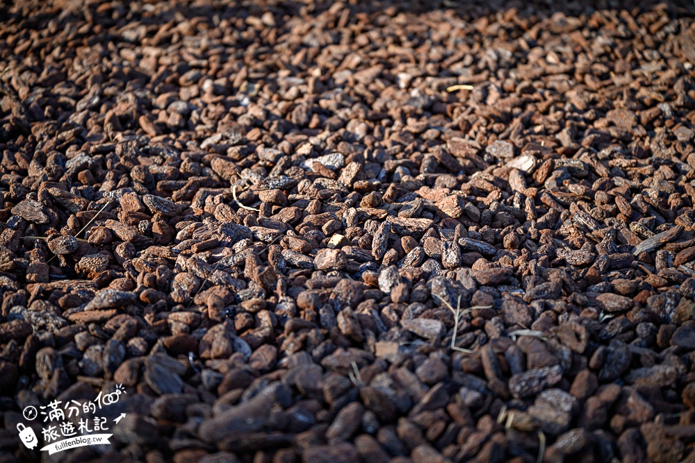 彰化【田中熊趣米公園】最新熊主題親子遊戲場.滑梯.沙坑.滑索一次滿足.還能近距離看高鐵奔馳!