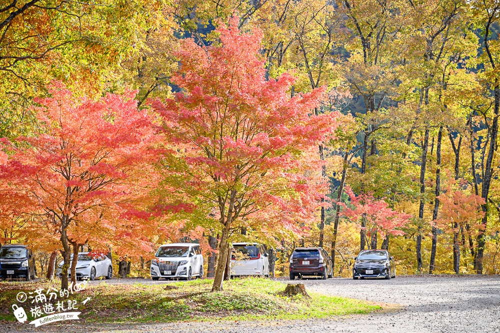 福島景點【塔崖】福島楓葉秘境,走吊橋.看塔型石岩.拜菩薩.感受百年溪流斷崖的震撼!